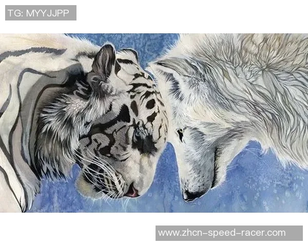 虎与狼群的生存较量探秘自然界的王者之争与智慧捕猎策略